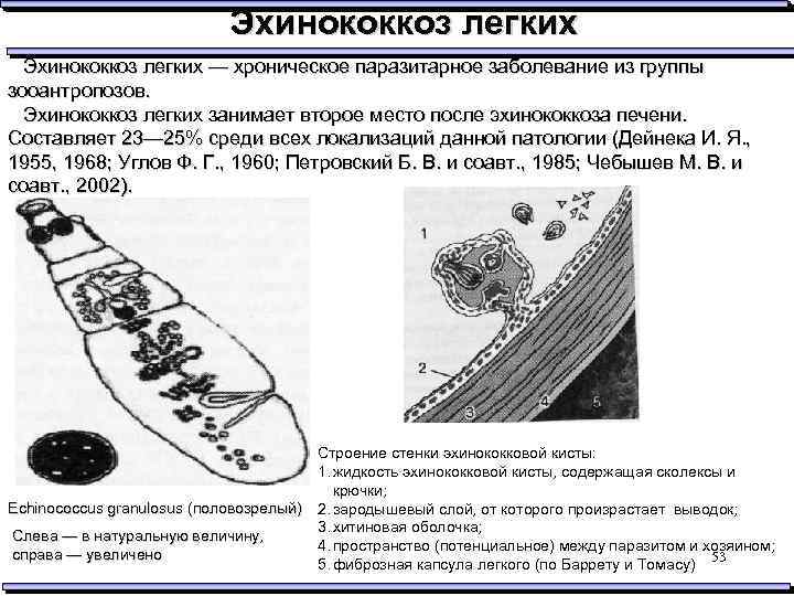 Эхинококкоз легких — хроническое паразитарное заболевание из группы зооантропозов. Эхинококкоз легких занимает второе место