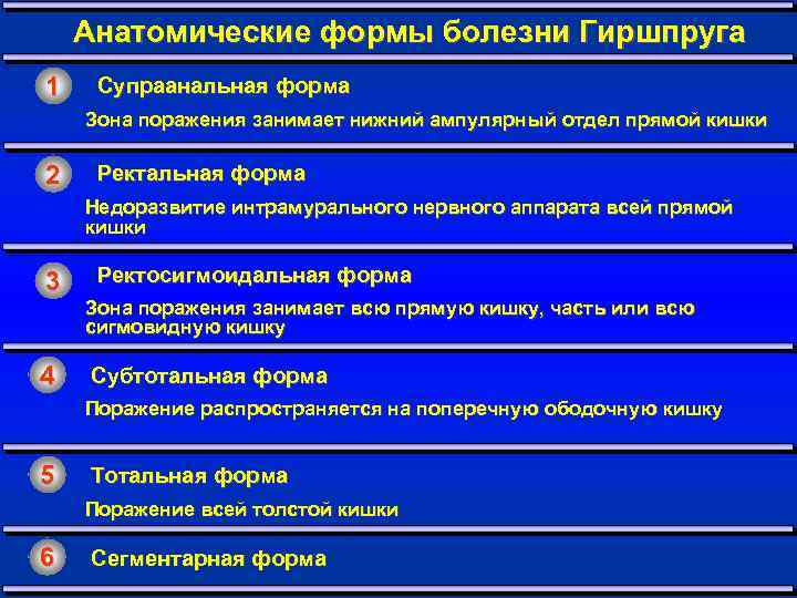 Анатомические формы болезни Гиршпруга 1 Супраанальная форма Зона поражения занимает нижний ампулярный отдел прямой