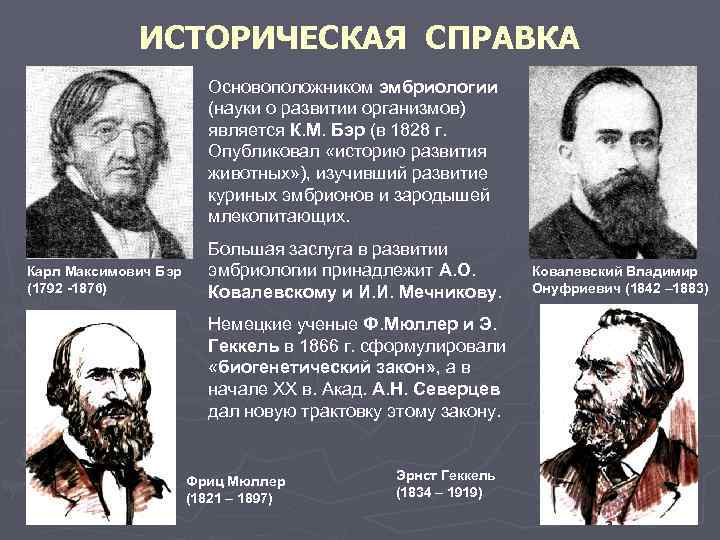 ИСТОРИЧЕСКАЯ СПРАВКА Основоположником эмбриологии (науки о развитии организмов) является К. М. Бэр (в 1828