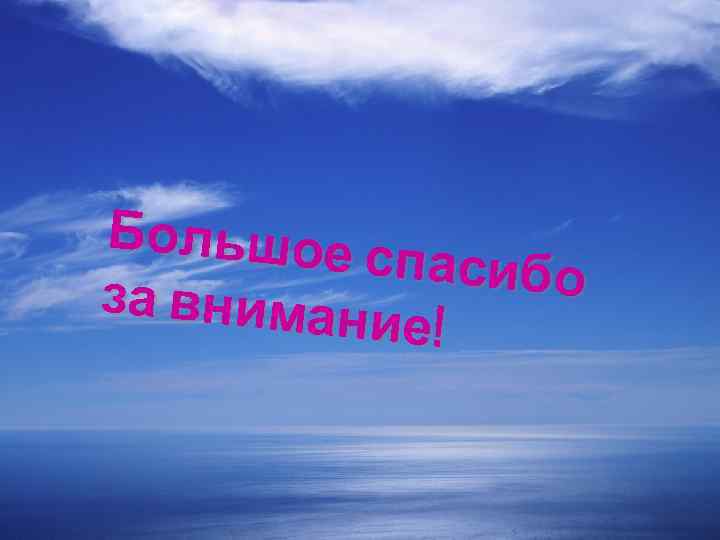 Большое спасибо за вниман ие ! 