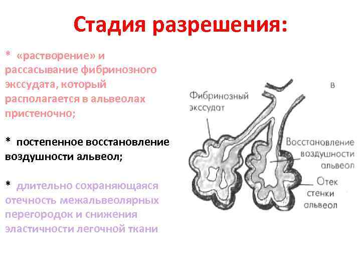 Картина вирусной пневмонии в стадии разрешения что это значит