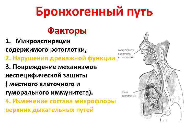 Бронхогенный путь Факторы 1. Микроаспирация содержимого ротоглотки, 2. Нарушения дренажной функции ДП 3. Повреждение