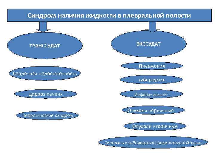 Синдром наличия жидкости в плевральной полости ТРАНССУДАТ ЭКССУДАТ Пневмония Сердечная недостаточность Цирроз печени Нефротический