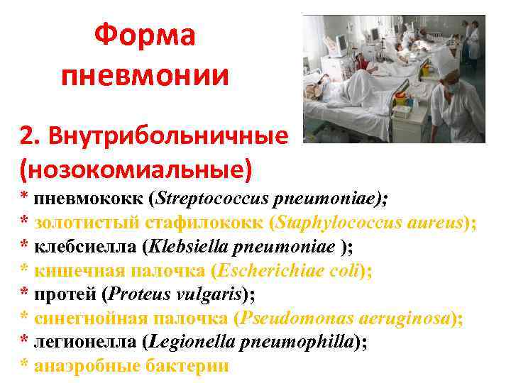 Форма пневмонии 2. Внутрибольничные (нозокомиальные) * пневмококк (Streptococcus pneumoniae); * золотистый стафилококк (Staphylococcus aureus);