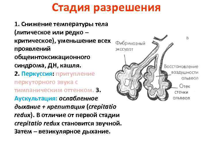 Стадия разрешения 1. Снижение температуры тела (литическое или редко – критическое), уменьшение всех проявлений