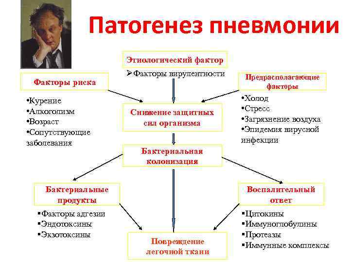 Патогенез пневмонии схема