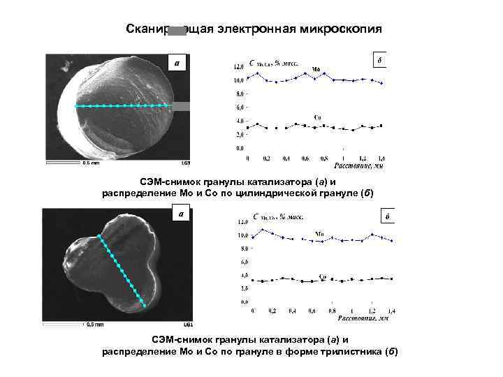 Сканирующая электронная микроскопия a СЭМ-снимок гранулы катализатора (а) и распределение Мо и Со по
