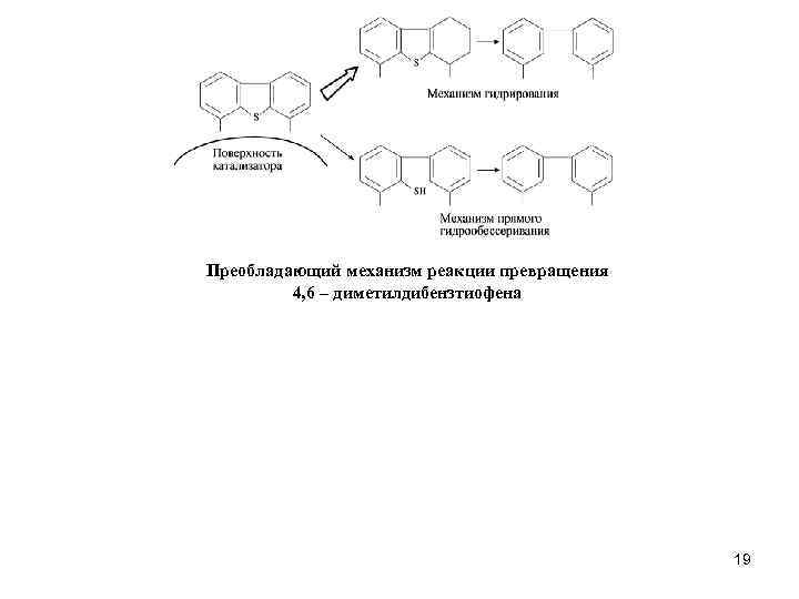 Преобладающий механизм реакции превращения 4, 6 – диметилдибензтиофена 19 
