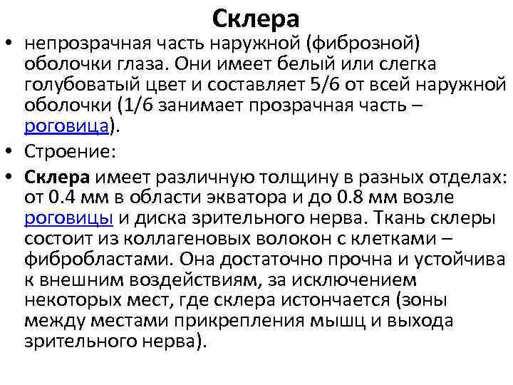 Склера • непрозрачная часть наружной (фиброзной) оболочки глаза. Они имеет белый или слегка голубоватый