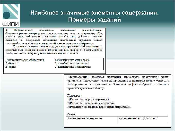 Наиболее значимые элементы содержания. Примеры заданий 