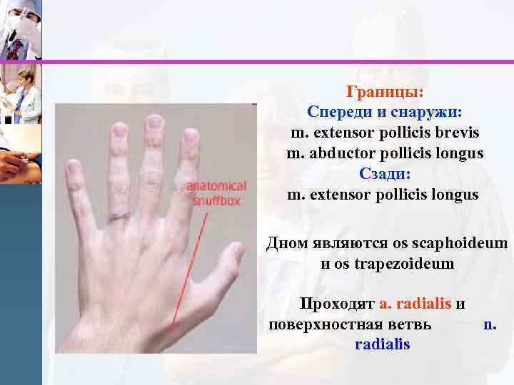 Границы: Спереди и снаружи: m. extensor pollicis brevis m. abductor pollicis longus Сзади: m.