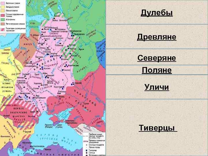  • Дулебы – западная Волынь (волыняне, Дулебы бужане) • Древляне – Правобережная Украина.