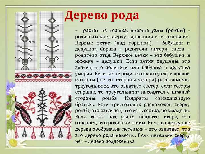 Дерево рода – растет из горшка, нижние узлы (ромбы) - родительские, вверху - дочерний