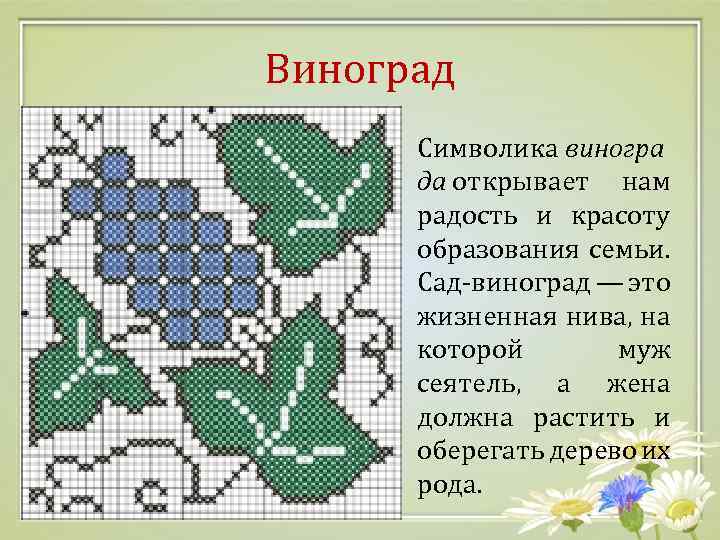 Виноград Символика виногра да открывает нам радость и красоту образования семьи. Сад-виноград — это