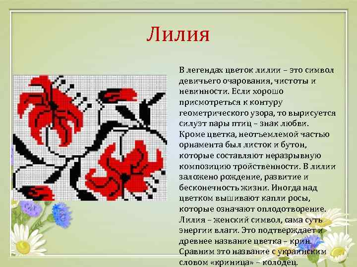 Лилия В легендах цветок лилии – это символ девичьего очарования, чистоты и невинности. Если