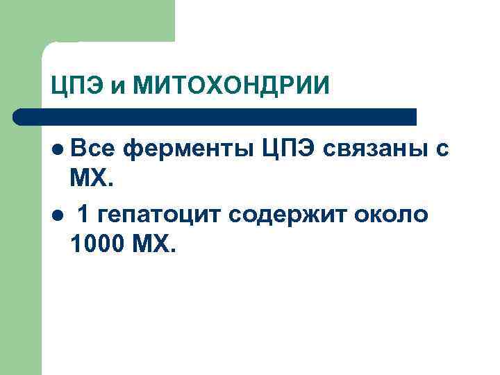 ЦПЭ и МИТОХОНДРИИ l Все ферменты ЦПЭ связаны с МХ. l 1 гепатоцит содержит