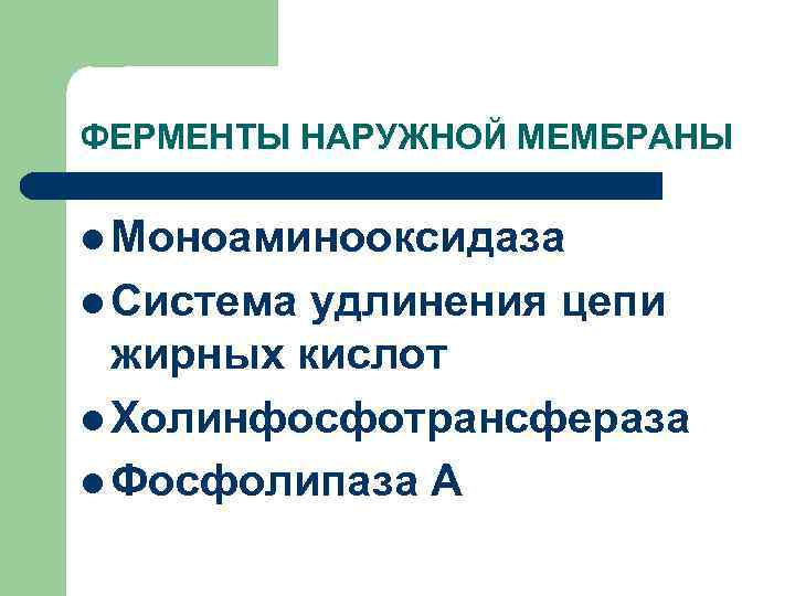 ФЕРМЕНТЫ НАРУЖНОЙ МЕМБРАНЫ l Моноаминооксидаза l Система удлинения цепи жирных кислот l Холинфосфотрансфераза l