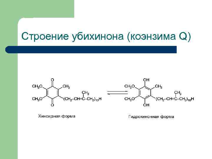 Строение убихинона (коэнзима Q) 