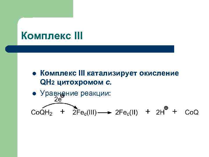 Комплекс III l l Комплекс III катализирует окисление QН 2 цитохромом с. Уравнение реакции: