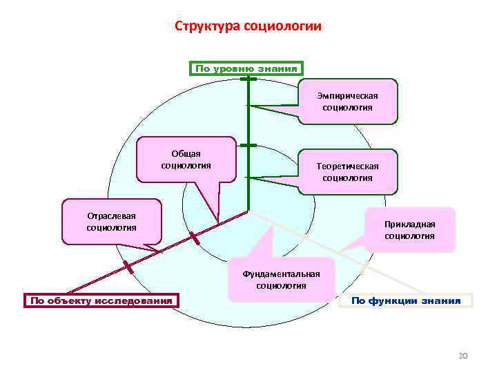 Структура социологии По уровню знания Эмпирическая социология Общая социология Теоретическая социология Отраслевая социология Прикладная