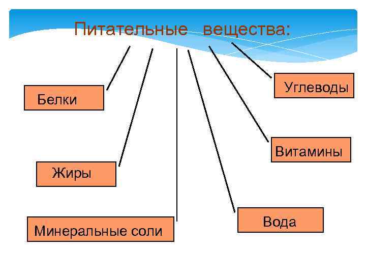 Питательные вещества: Белки Углеводы Витамины Жиры Минеральные соли Вода 