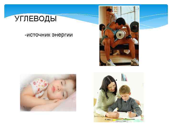 УГЛЕВОДЫ -источник энергии 