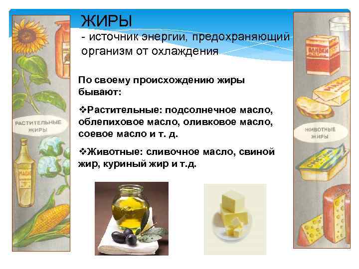 ЖИРЫ - источник энергии, предохраняющий организм от охлаждения По своему происхождению жиры бывают: v.