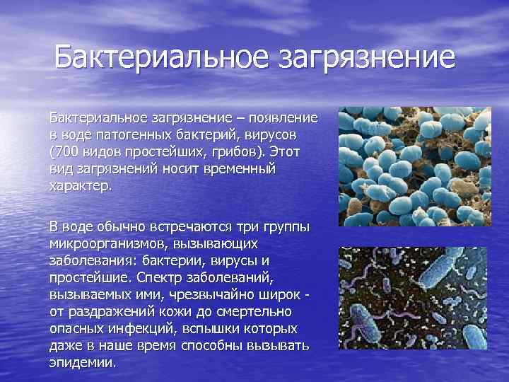 Простейшие водоросли грибы. Бактериальное загрязнение гидросферы. Патогенные микроорганизмы источники загрязнения. Биологическое загрязнение. Бактериальное и биологическое загрязнение воды.