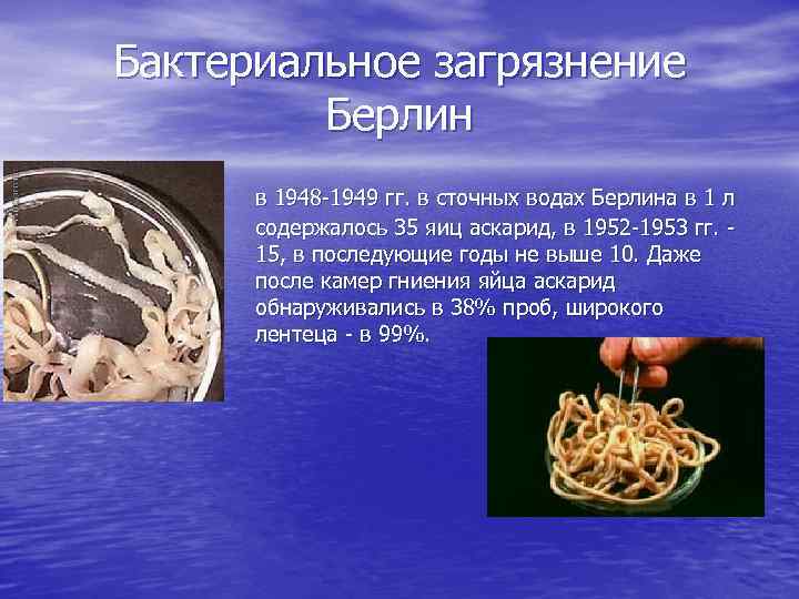 Бактериальное загрязнение Берлин в 1948 -1949 гг. в сточных водах Берлина в 1 л