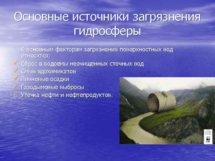 Проект на тему загрязнение гидросферы