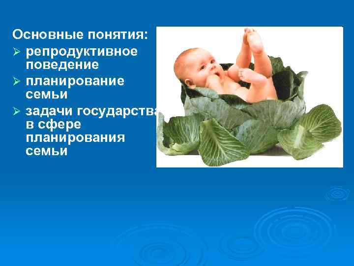 Основные понятия: Ø репродуктивное поведение Ø планирование семьи Ø задачи государства в сфере планирования