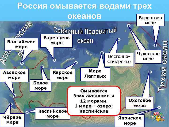 Россия омывается водами трех океанов Берингово море Балтийское море Баренцево море Восточно. Сибирское Азовское