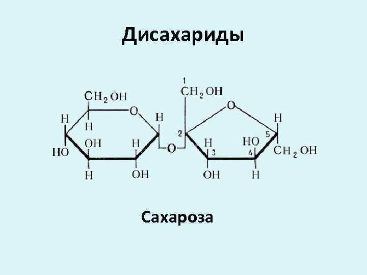 Как пройти экспертный экзамен у сахарозы. Дисахарид сахароза строение молекулы. Дисахарид сахароза формула. Углеводы дисахариды строение молекулы. Углеводы формула дисахариды.