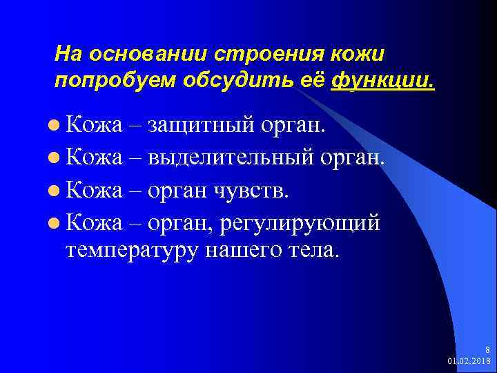 На основании строения кожи попробуем обсудить её функции. l Кожа – защитный орган. l