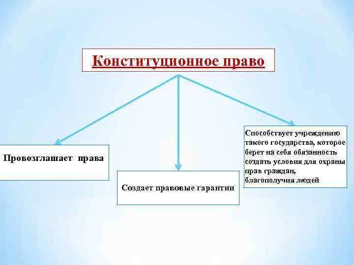 Конституционное право примеры