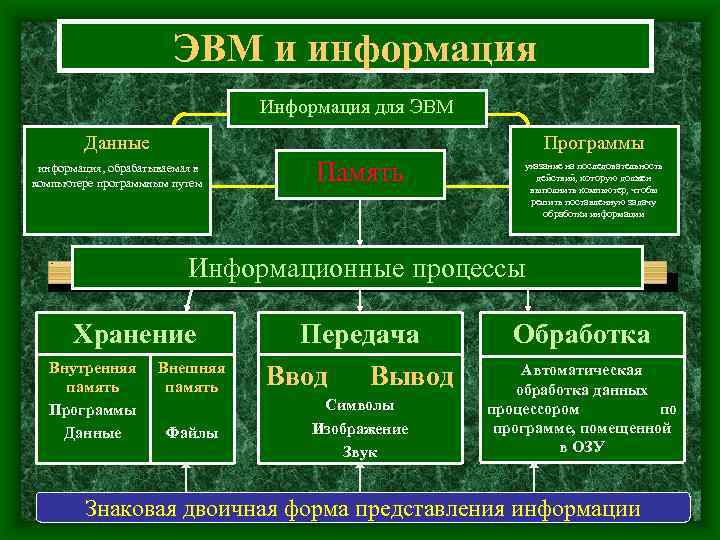  ЭВМ и информация Информация для ЭВМ Данные Программы информация, обрабатываемая в компьютере программным