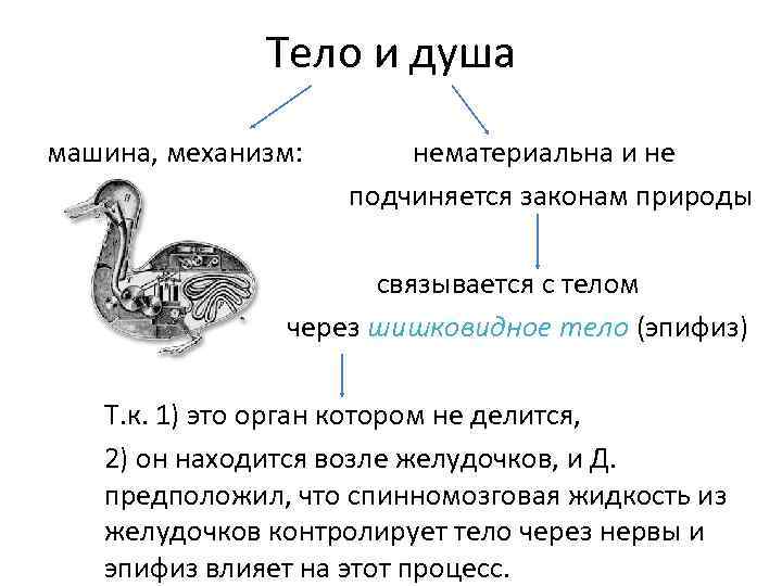 Тело и душа машина, механизм: нематериальна и не подчиняется законам природы связывается с телом