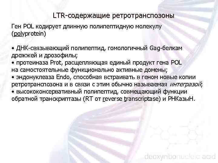 LTR coдержащие ретротранспозоны Ген POL кодирует длинную полипептидную молекулу (polyprotein) • ДНК связывающий полипептид,