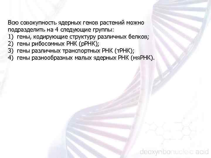 ЯДЕРНЫЕ ГЕНЫ Всю совокупность ядерных генов растений можно подразделить на 4 следующие группы: 1)