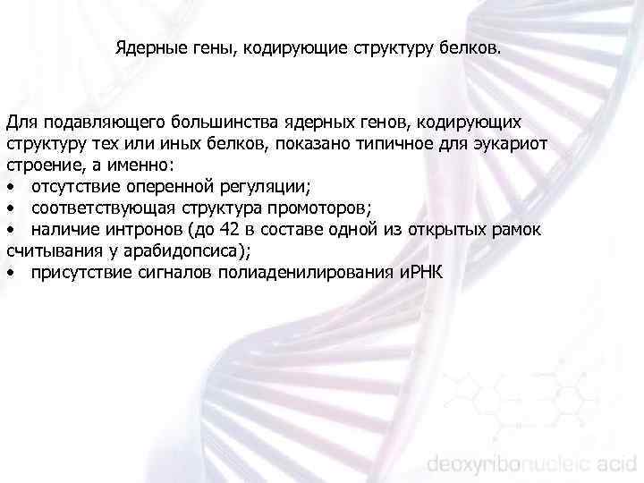 Ядерные гены, кодирующие структуру белков. Для подавляющего большинства ядерных генов, кодирующих структуру тех или