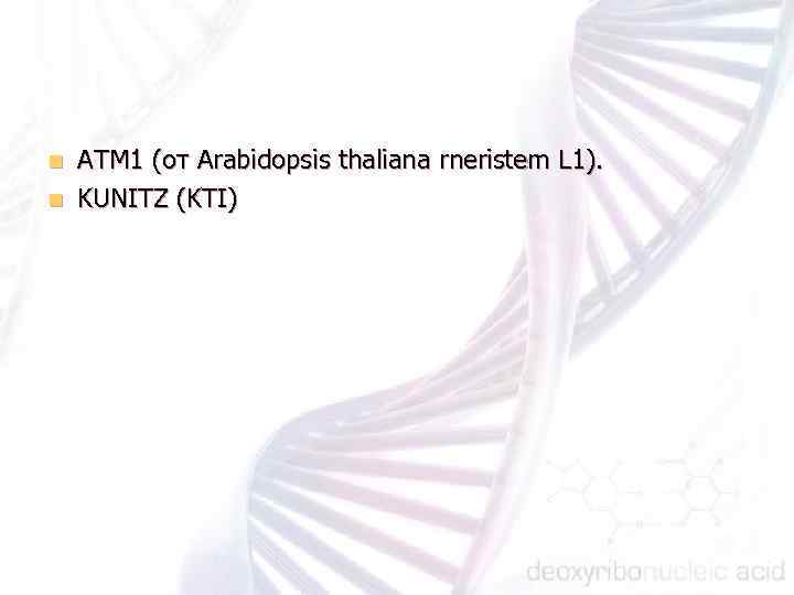 АТМ 1 (от Arabidopsis thaliana rneristem L 1). n KUNITZ (KTI) n 