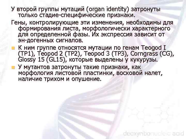 У второй группы мутаций (organ identity) затронуты только стадие специфические признаки. Гены, контролирующие эти