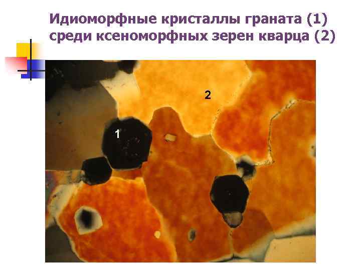 Идиоморфные кристаллы граната (1) среди ксеноморфных зерен кварца (2) 2 1 