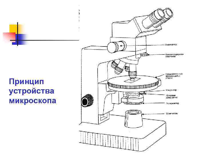 Принцип устройства микроскопа 