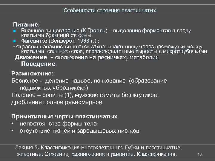  Особенности строения пластинчатых Питание: Внешнее пищеварение (К. Грелль) – выделение ферментов в среду