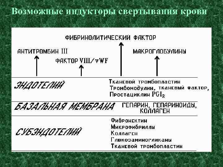 Возможные индукторы свертывания крови 