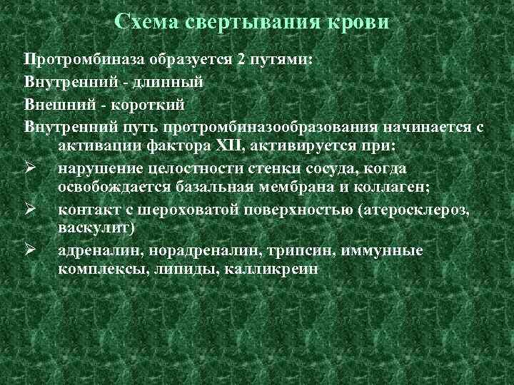 Схема свертывания крови Протромбиназа образуется 2 путями: Внутренний - длинный Внешний - короткий Внутренний