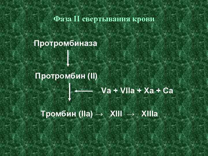 Фаза II свертывания крови Протромбиназа Протромбин (II) Va + VIIa + Xa + Ca