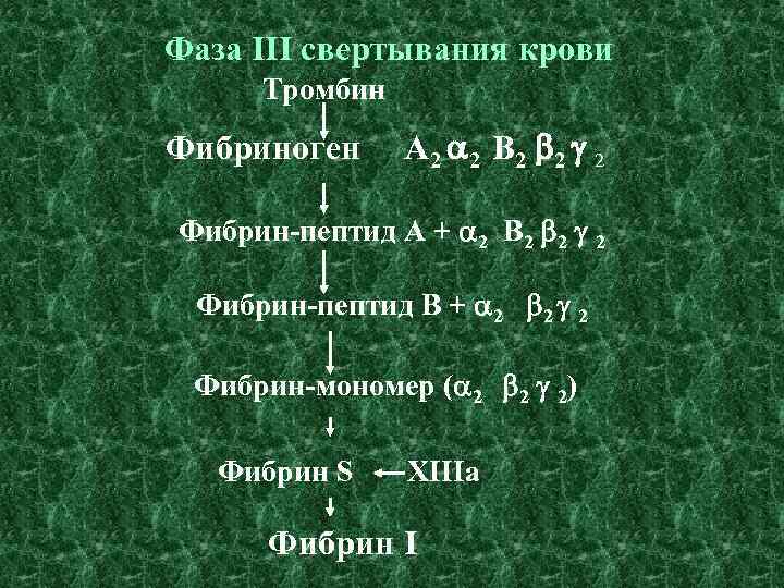 Фаза III свертывания крови Тромбин Фибриноген А 2 2 В 2 2 2 Фибрин-пептид