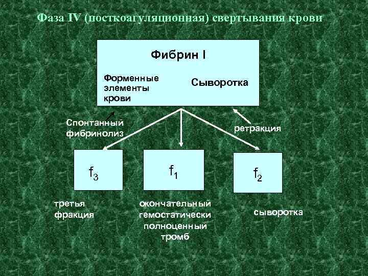 Фаза IV (посткоагуляционная) свертывания крови Фибрин I Форменные элементы крови Сыворотка Спонтанный фибринолиз f